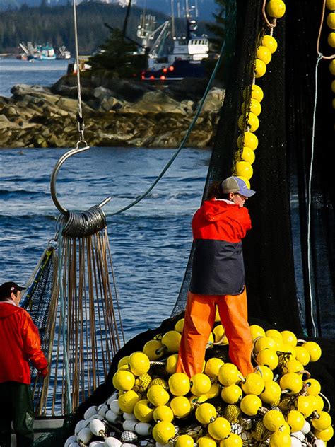 crab fisherman jobs|100+ Crab Fishermen Jobs, Employment June 11, 2024.